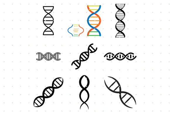Download DNA Strand SVG - Dna Collection