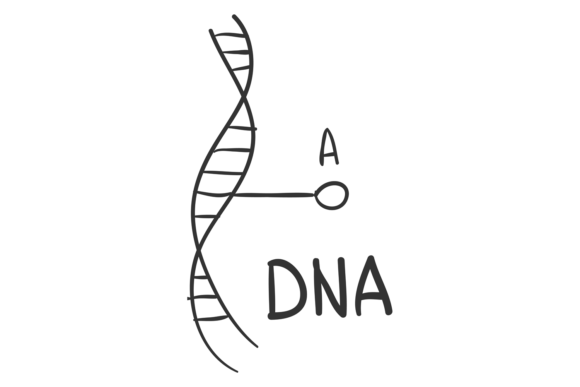 Download Dna Doodle. Biology Symbol. Science Stud - Dna Collection