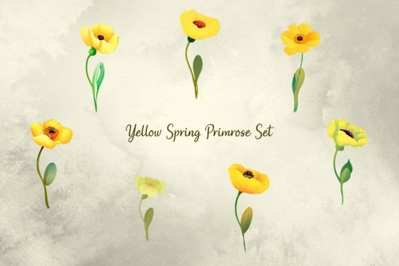 Download Yellow Spring Primrose Set - Rose Collection