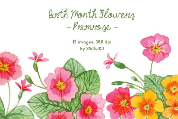 Download Primrose Clipart, Birth Month Flowers - Rose Collection