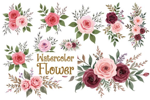 Download Rose Watercolor Floral Set - Rose Collection
